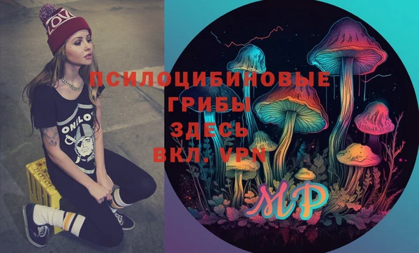 герыч Каменногорск